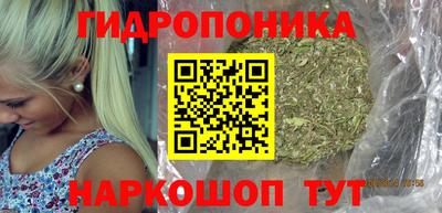 spice Краснознаменск