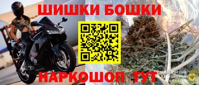 индика Кулебаки