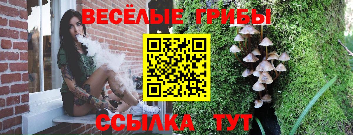 Галлюциногенные грибы мухоморы Ейск