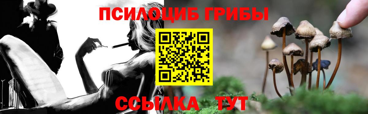 Ейск  Галлюциногенные грибы MAGIC MUSHROOMS  Вход с VPN 
